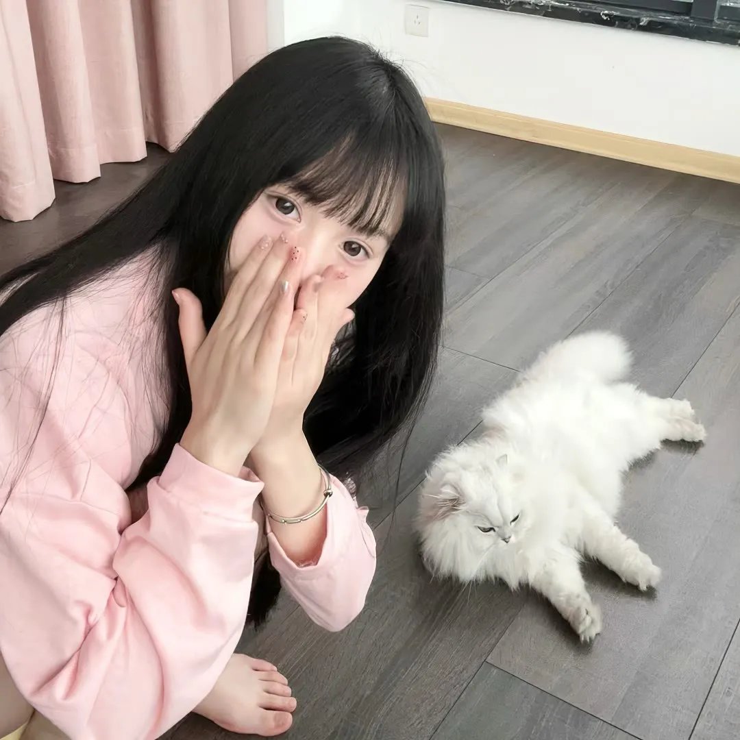 飓猩营救